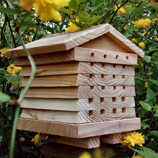 photo d'une ruche en bois